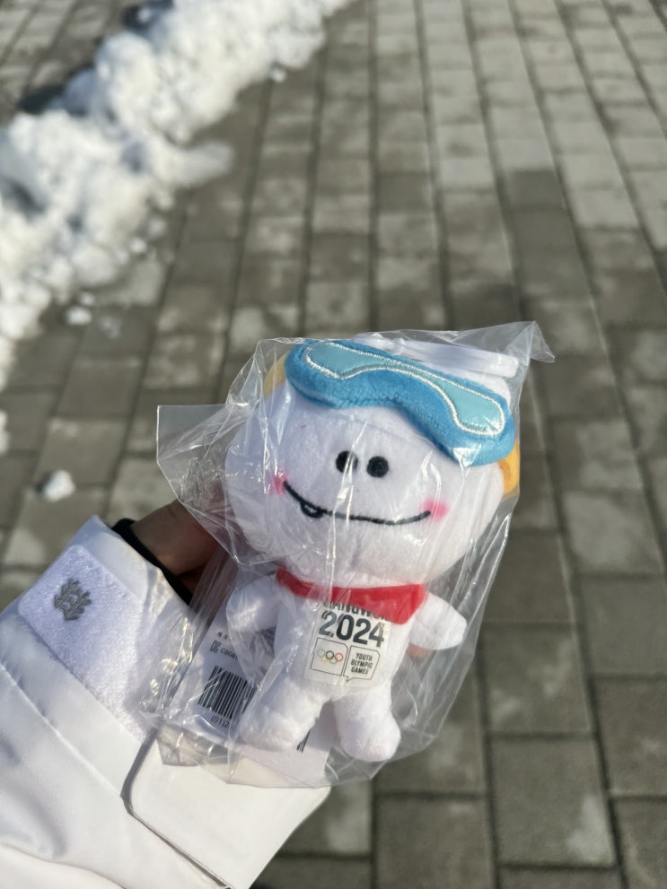  2024 강원 동계청소년올림픽 자원봉사 5~6일차(GSP)
