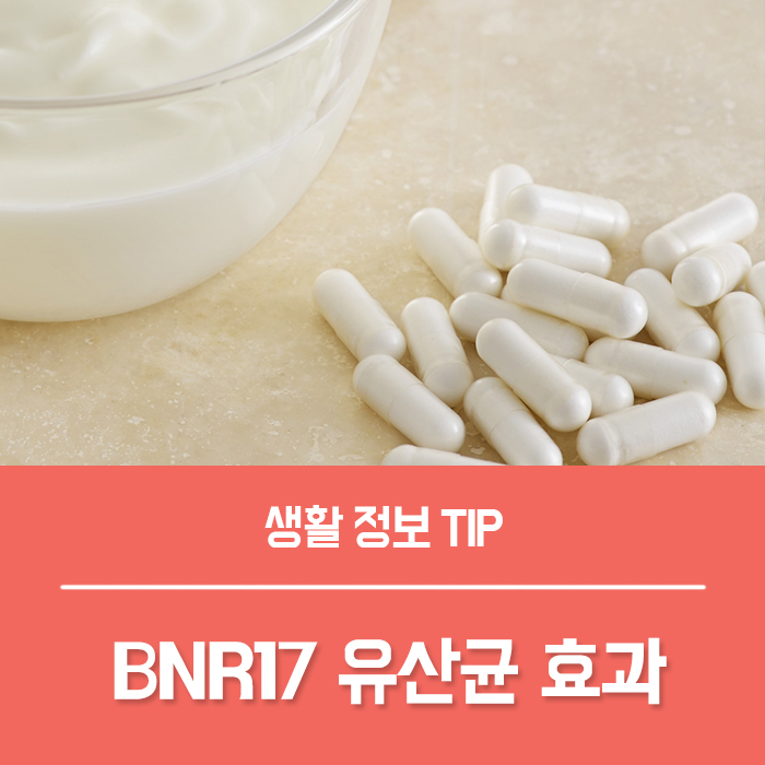  BNR17유산균 먹는법, 비엔알17 유산균 효능 부작용은?