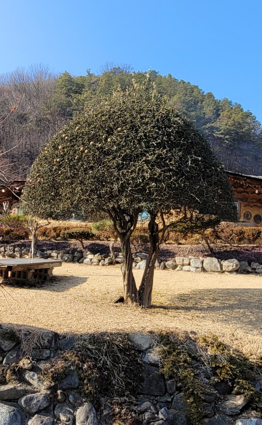 한가롬 사진 6