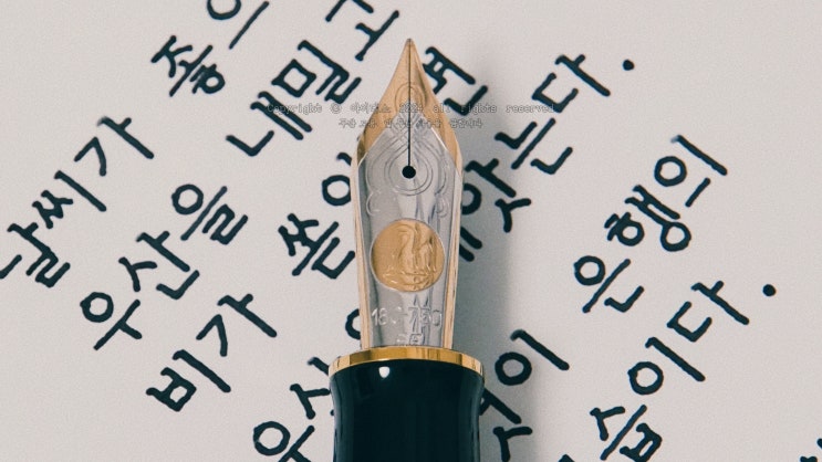  은행의 본모습 (펠리칸 M1000 EF닙 만년필 필사하기)
