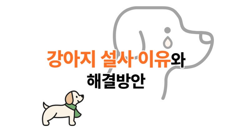 강아지 설사 이유와 해결방법(말티푸 묽은 변 볼 때)