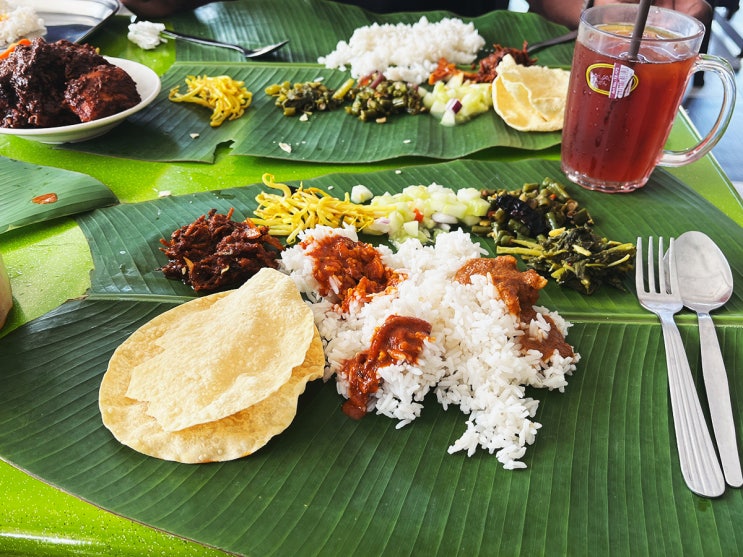  쿠알라룸푸르 인도 커리 현지 맛집 Acha Curry House 후기