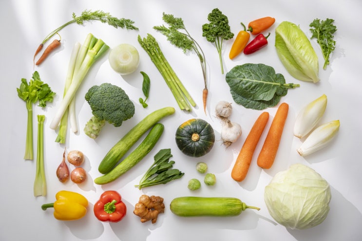 건강을 위한 식단에 야채와 채소 빠지지 않는 이유