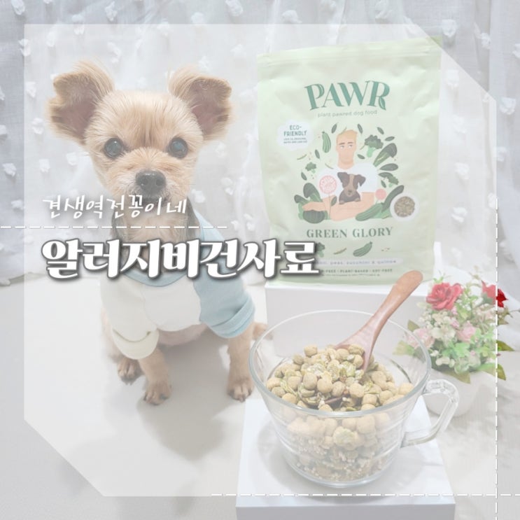  노령견사료 추천 강아지 췌장염 관리식단 비건 알러지사료 포우