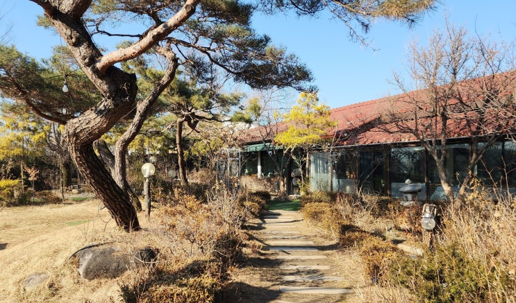  물맑은 집, 집밥 느낌 한식집