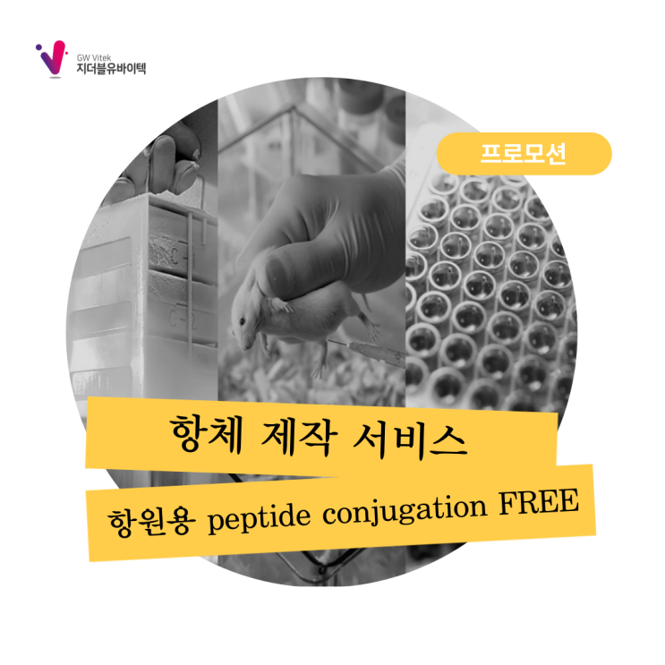 [이벤트] Peptide Antibody Service 이벤트 (conjugation 무료 서비스)