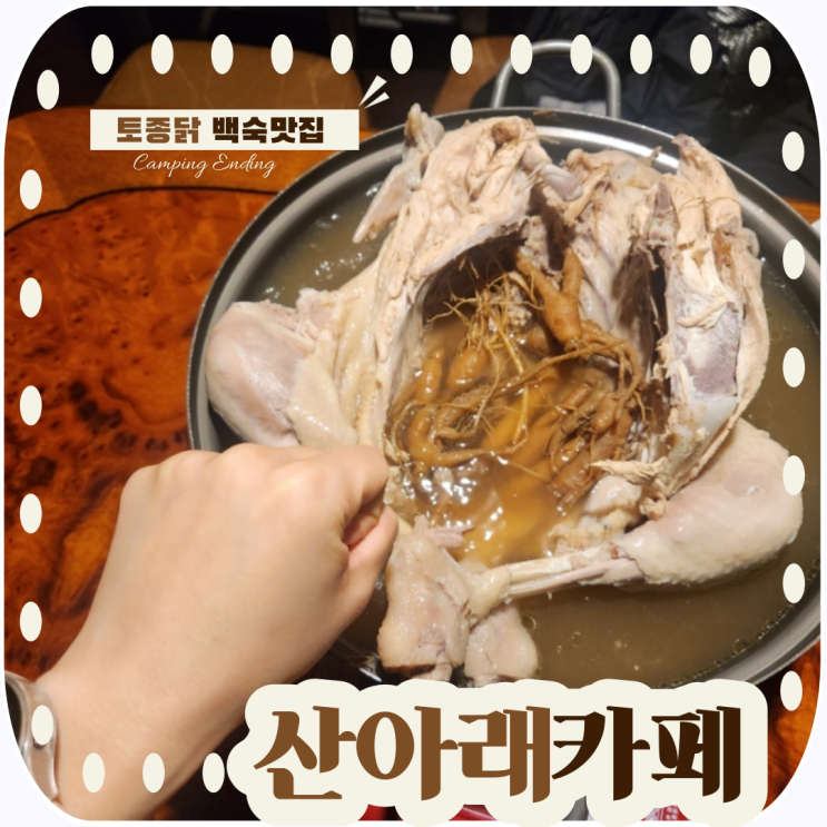  마평동 분위기좋은카페 산아래카페에서 토종닭백숙 & 건강차 찐맛집 강력추천!!