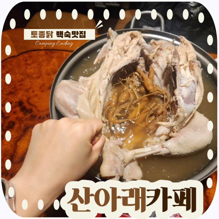 마평동 분위기좋은카페 산아래카페에서 토종닭백숙 & 건강차 찐맛집 강력추천!!