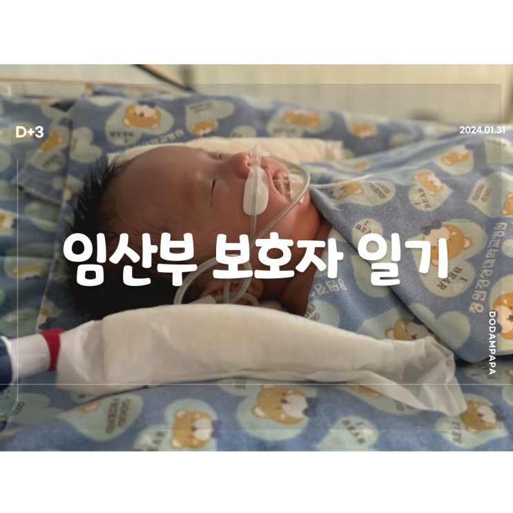 2024.01.31 임산부 보호자 일기 D+3일 2024.01.31 임산부 보호자 일기 D+3일