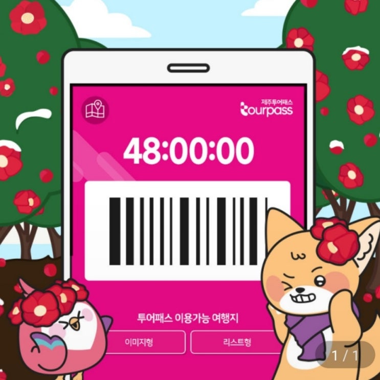 제주투어 제주투어패스로