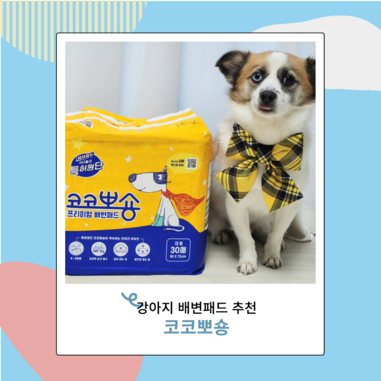 강아지 배변패드 코코뽀숑 추천 흡수력 인정 강아지 배변패드 코코뽀숑 추천 흡수력 인정