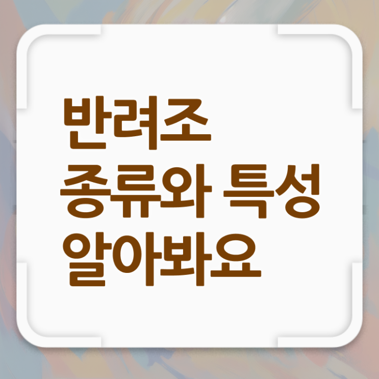  반려조관리사 자격증 발급기관 핵심 정보 ! 한국자격검정원