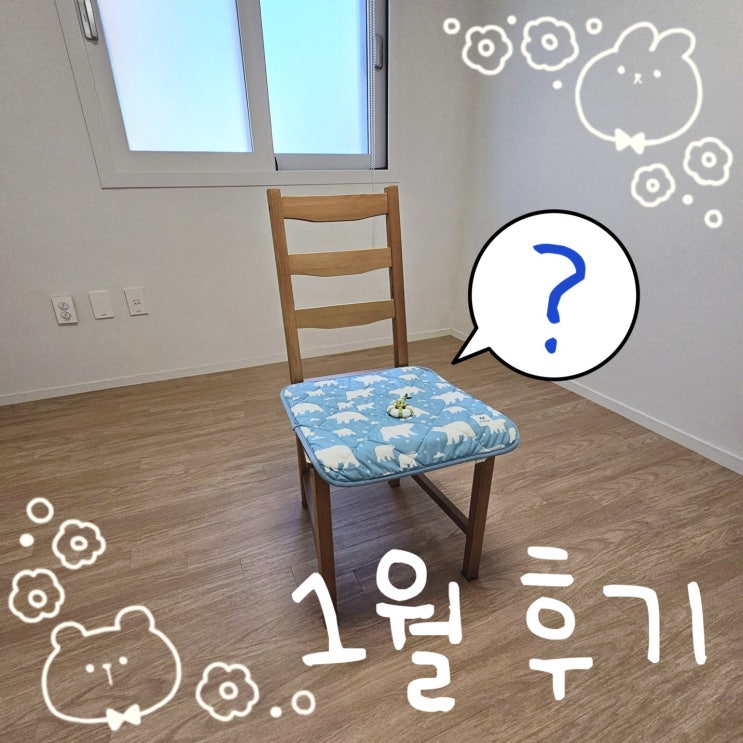  1월 후기 및 포켓몬 블로그 운영에 대한 생각