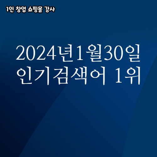  2024년 1월 30일 네이버쇼핑 분야별 인기 검색어 1위