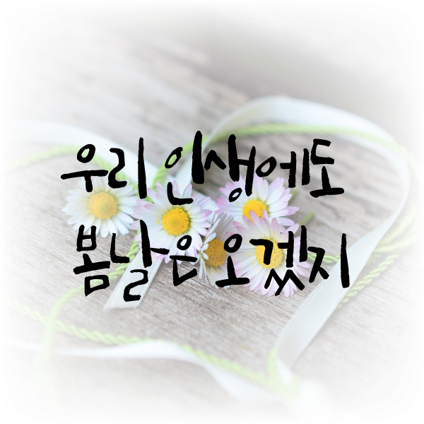 우리 인생에도 봄날은 오겠지