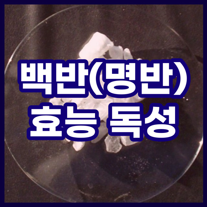  백반(명반)의 효능. 봉숭아물들이기에 사용하죠.