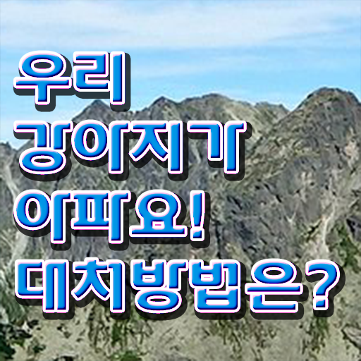  강아지 열날때 증상 대처법 강력추천 !