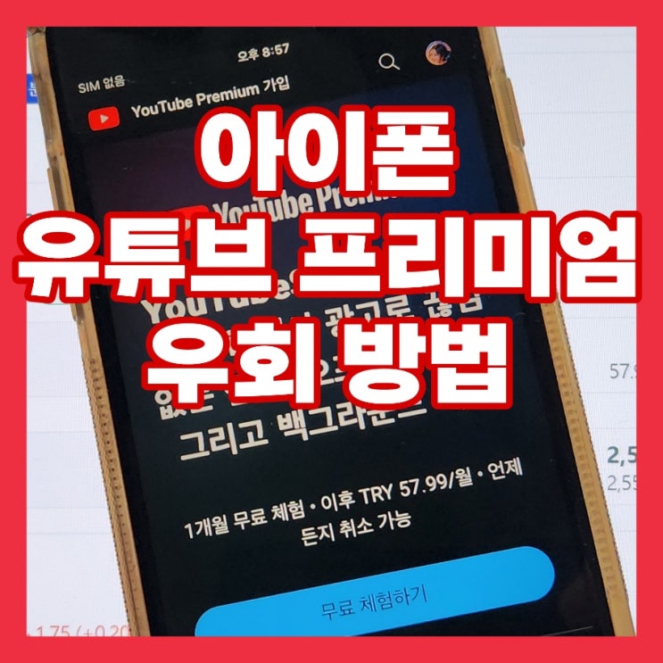  아이폰 유튜브 프리미엄 우회 가격 인상 상승 해결 방법