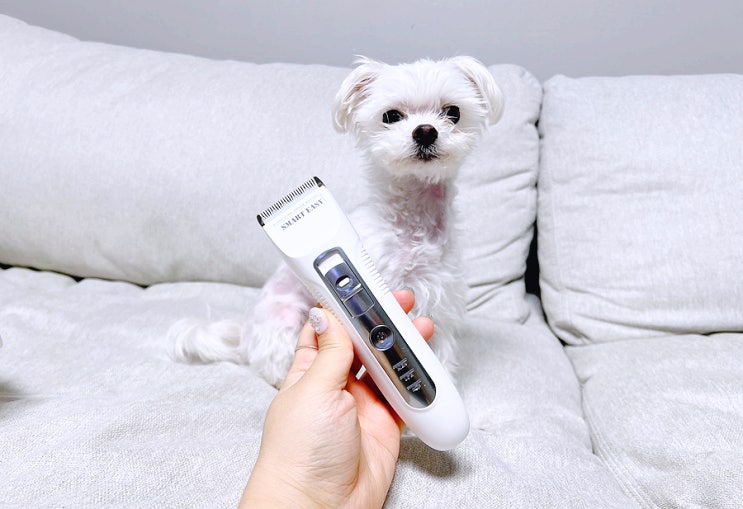  강아지바리깡 닉센 스마트이지 부분미용 했어요