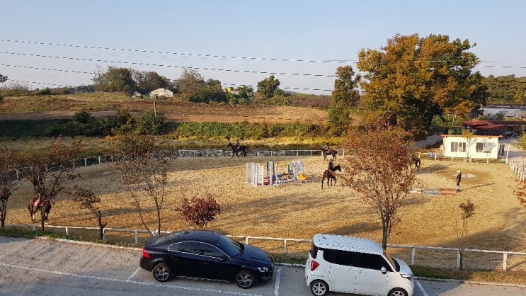  승마 잘 하고 싶다면.. 승마레슨비용
