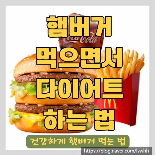  햄버거 먹으면서 다이어트 하는 방법 - 맥도날드 빅맥 세트 감자튀김 콜라 성분 분석과 건강한 식이요법(식단)