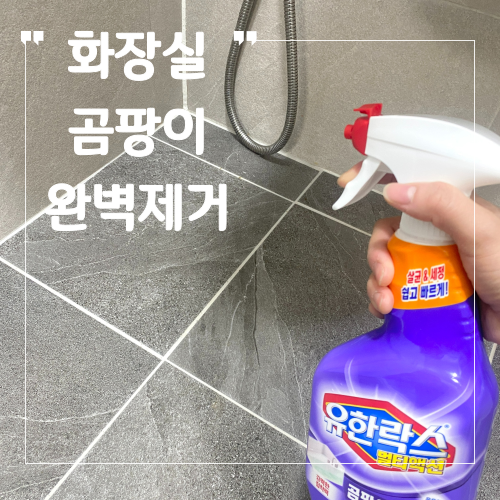화장실 곰팡이 물때 청소, 유한락스 멀티액션 곰팡이 제거제 사용후기