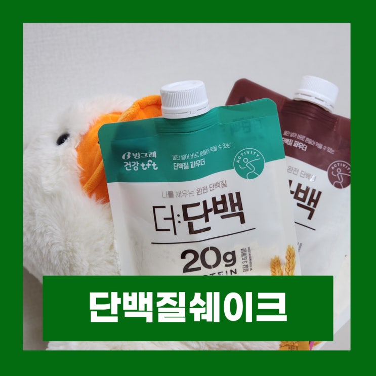  올리브영 단백질쉐이크 빙그레tft 더단백 파우더