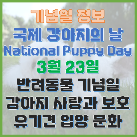국제 강아지의 날 3월 23일 유기견 입양 문화 확대를 취지로 제정된 날 국제 강아지의 날 3월 23일 유기견 입양 문화 확대를 취지로 제정된 날