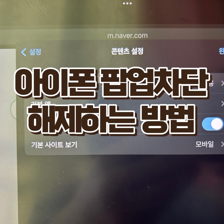  아이폰팝업차단해제, 아이패드 팝업, 크롬브라우저를 통해 간단히 해결 가능