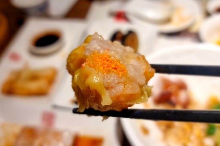 [잠실] 딤딤섬 (24.01)