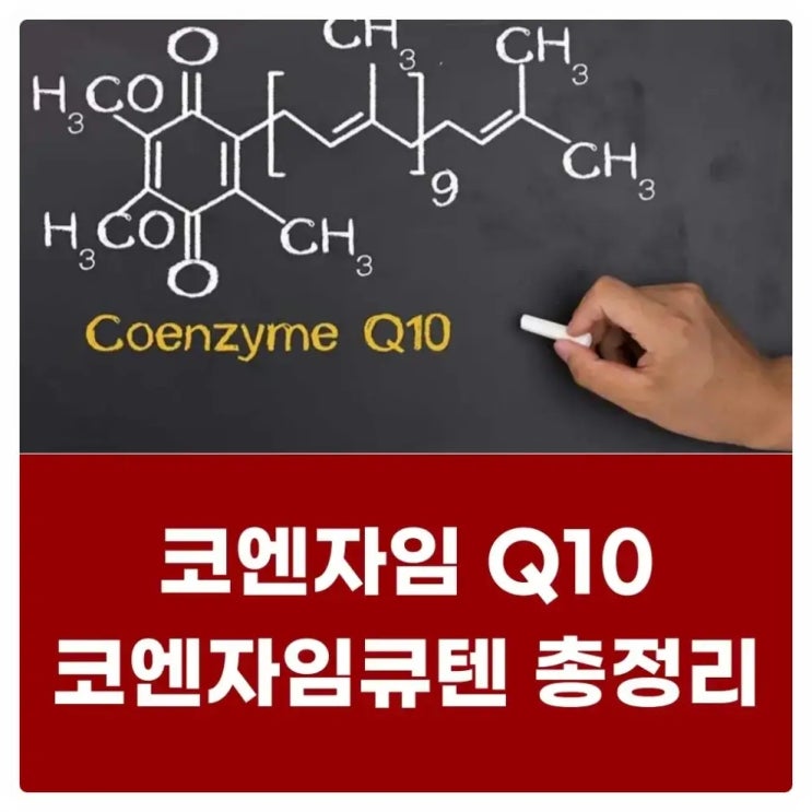  코큐텐 일본 코엔자임 효능 부작용 추천 가격비교
