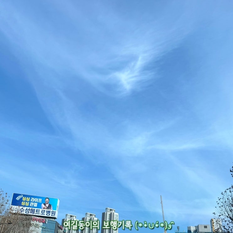  2024.02.01 블로그 56일차
