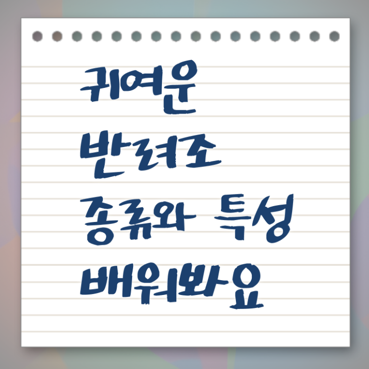  반려조관리사 1급 자격증 온라인 취득 필수 정보 수록 . 한국자격검정원
