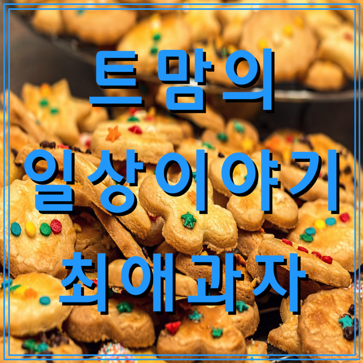 내가 좋아하는 과자 리스트 (feat. 초코꼬북칩, 다이제씬, 버터와플, 초코송이, 홈런볼 등)