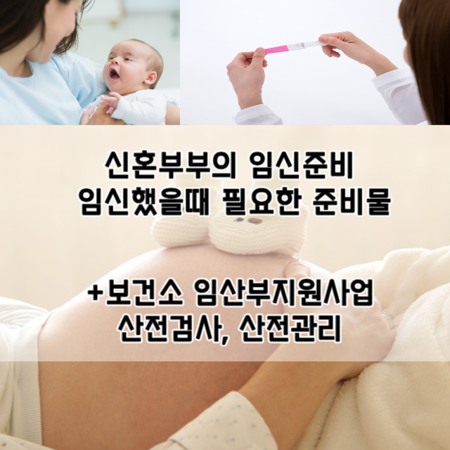  신혼부부의 임신준비 및 임신했을때 필요한 준비물(+보건소 임산부지원사업 - 산전검사, 산전관리 등)