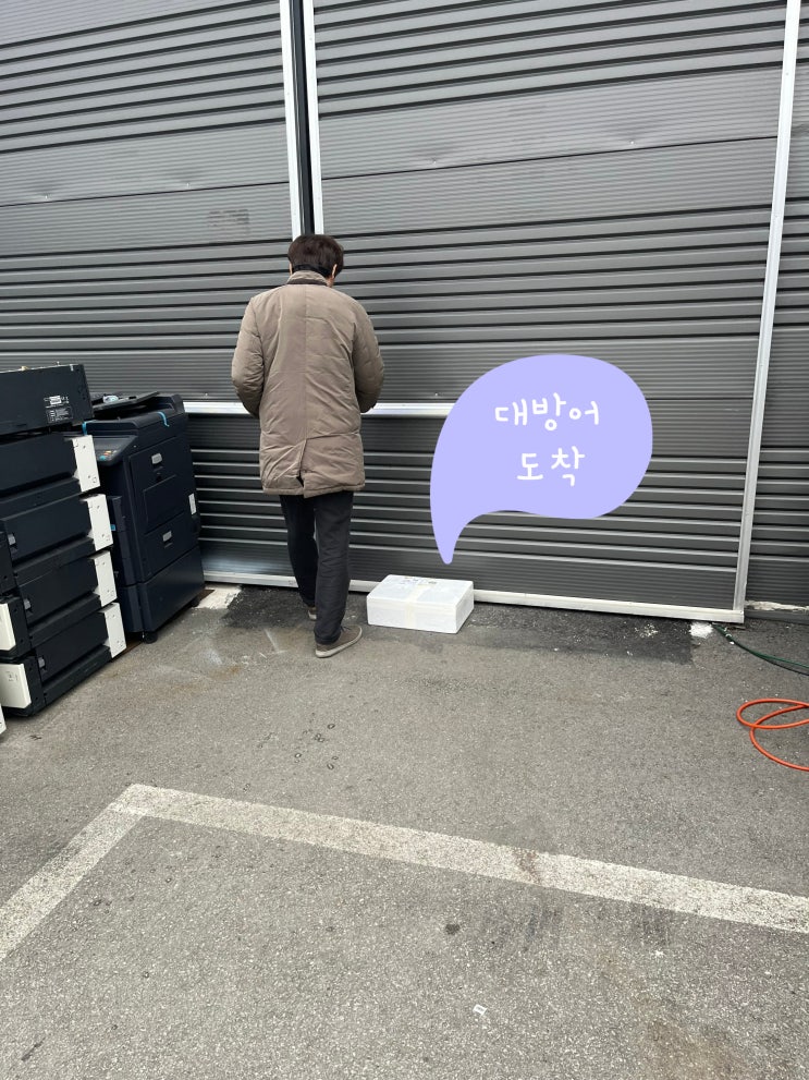  겨울철 별미 [제주 대방어] 간식, 복사기임대(렌탈)전문점[두리시스템]