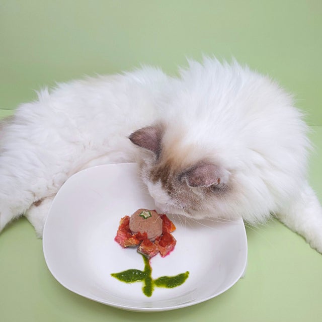 캔따개 포스트 이미지