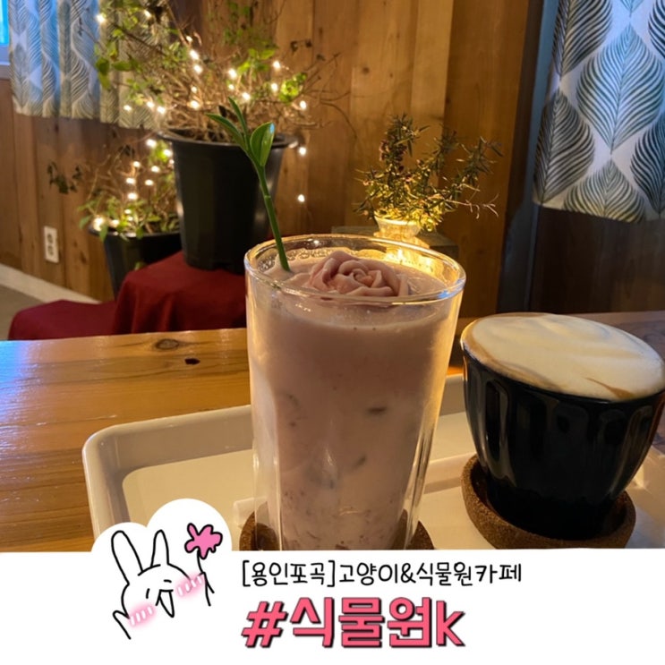  용인 포곡 이색카페 고양이가 반겨주는 4계절 푸릇푸릇한 식물원k
