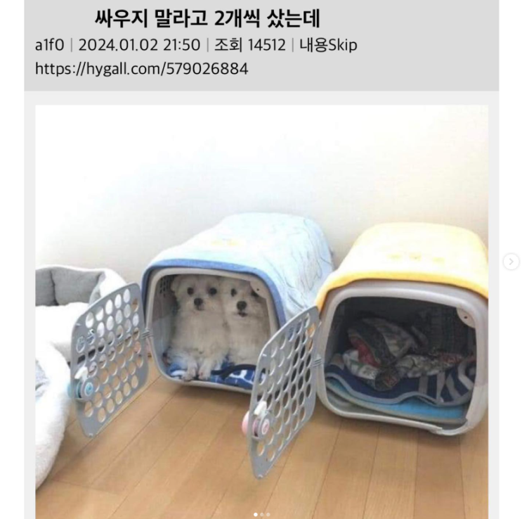  싸우지 말라고 2개씩 샀는데