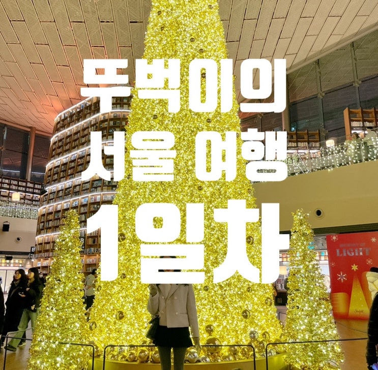 뚜벅이의 서울 여행 1일차️c(파미에 무월식탁, 푸에르자부르타 관람, 성수 테디스오븐 카페, 덕수궁, 코엑스 별마당도서관, 신라스테이 삼성 호텔 투숙) 여행기 뚜벅이의 서울 여행 1일차️c(파미에 무월식탁, 푸에르자부르타 관람, 성수 테디스오븐 카페, 덕수궁, 코엑스 별마당도서관, 신라스테이 삼성 호텔 투숙) 여행기