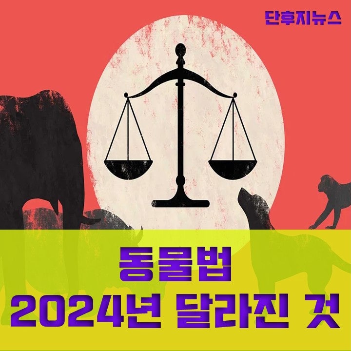 동물법 (2024년 달라진 것)