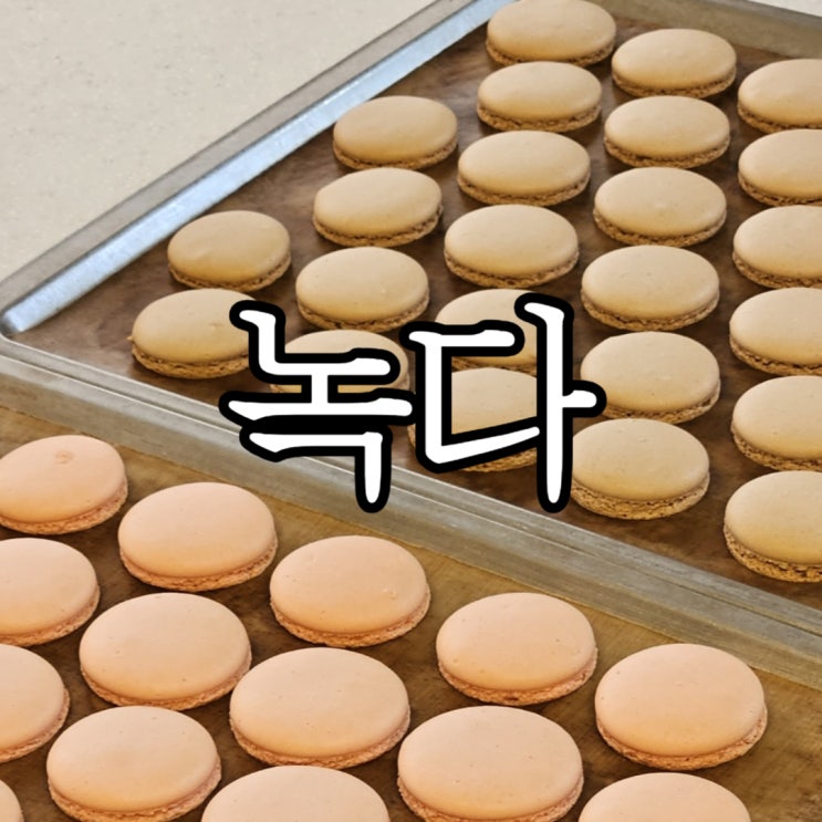  창원베이킹원데이클래스 녹다 마카롱원데이 내돈내산 재방문 후기