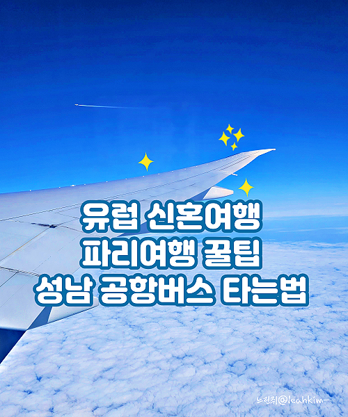  유럽 신혼여행 꿀팁 #3 :: 분당(야탑) 공항버스 타는곳, 인천공항 라운지, 파리 샤를드골 공항 택시, 파리 15구 식당