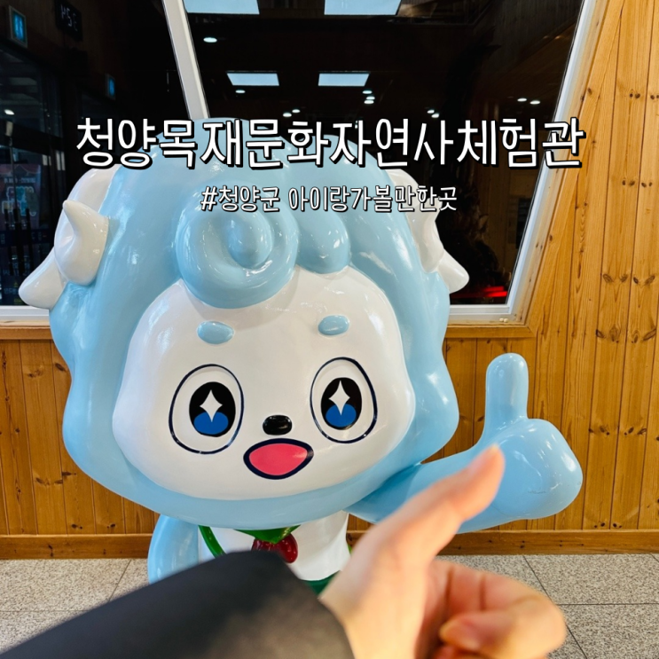  청양 목재박물관 목재문화자연사체험관 청양군 아이랑 가볼만한곳