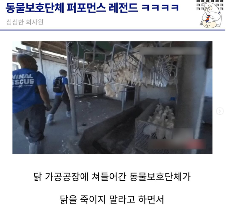  동물보호단체 퍼포먼스 레전듴ㅋㅋㅋ