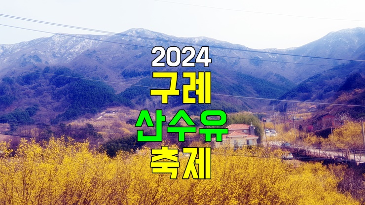꼭 가봐야 할 봄나들이, 전라도 2024년 3월 봄꽃 축제! 2024 구례 산수유꽃축제 (일정, 기본정보) 꼭 가봐야 할 봄나들이, 전라도 2024년 3월 봄꽃 축제! 2024 구례 산수유꽃축제 (일정, 기본정보)
