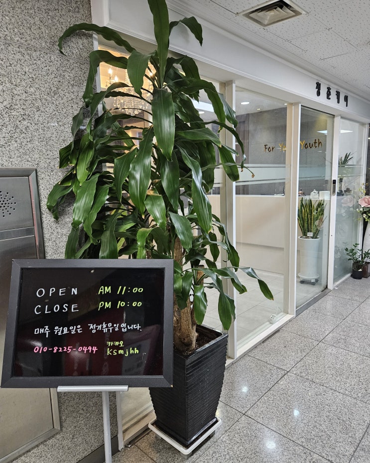  2월! 청춘케어의 업그레이드 및 연휴 공지