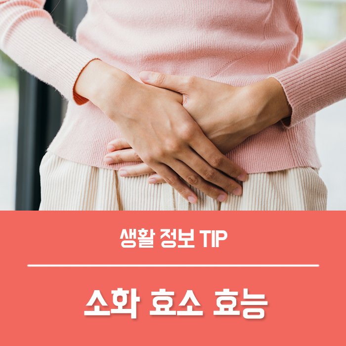 소화 효소 곡물 효소 효능, 발효 효소 종류 역가수치 총정리!