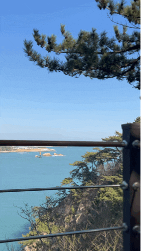  [울산가볼만한곳] 바다보며 산책하기 좋은 울산 동구 일산해수욕장에서 대왕암 출렁다리