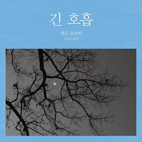  시를 쓰는 마음, 시를 사랑하는 마음__ 메리 올리버 긴 호흡 ㅊ (ft. 밀리의서재추천도서 퓰리처상 수상작 시집추천)